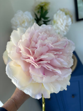 Blush Pink Peony 62cm