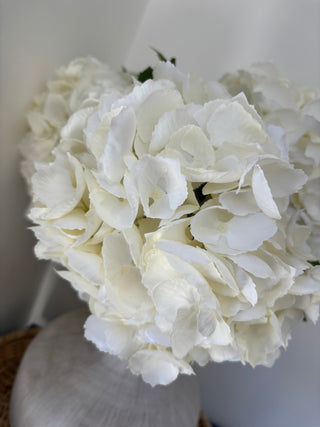White Hydrangea 54cm