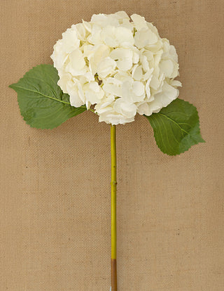 White Hydrangea 54cm