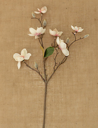 Pink Magnolia 84cm