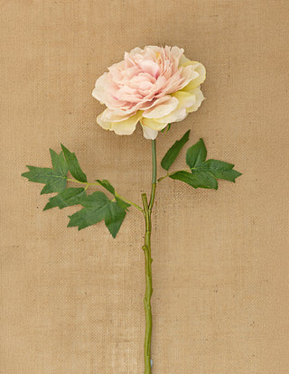 Blush Pink Peony 62cm