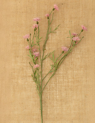 Pink Flocked Thistles