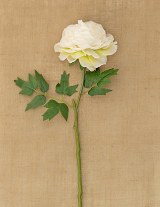 Blush White Peony 62cm